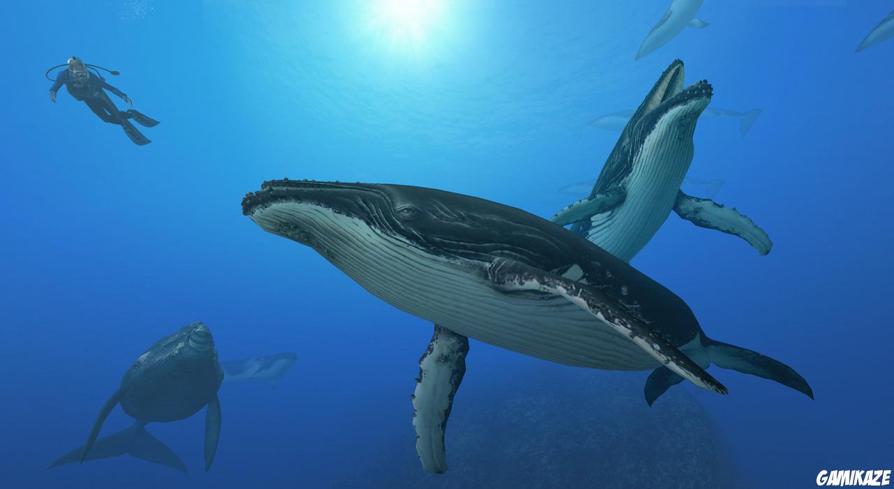 Endless Ocean 2 : Aventuriers des Fonds Marins