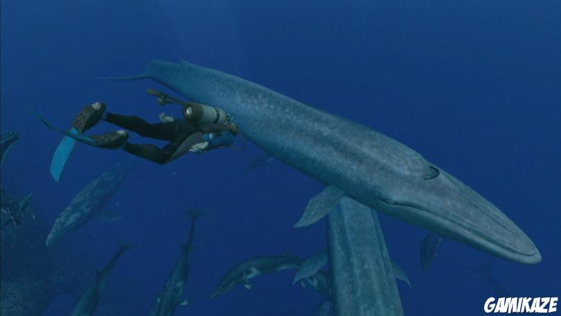 Endless Ocean 2 : Aventuriers des Fonds Marins