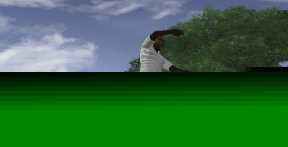 Tiger Woods PGA Tour 08