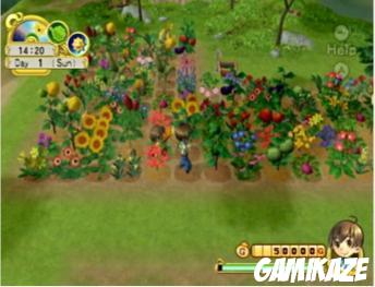 Harvest Moon : l'Arbre de la Sérénité