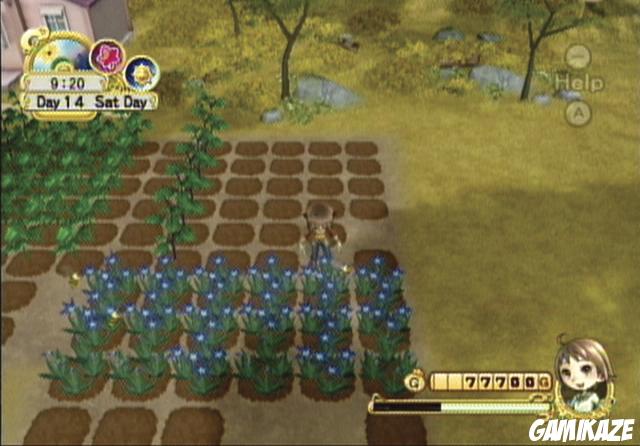 Harvest Moon : l'Arbre de la Sérénité