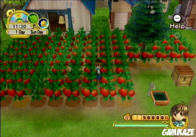 Harvest Moon : l'Arbre de la Sérénité