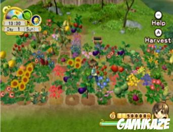 Harvest Moon : l'Arbre de la Sérénité