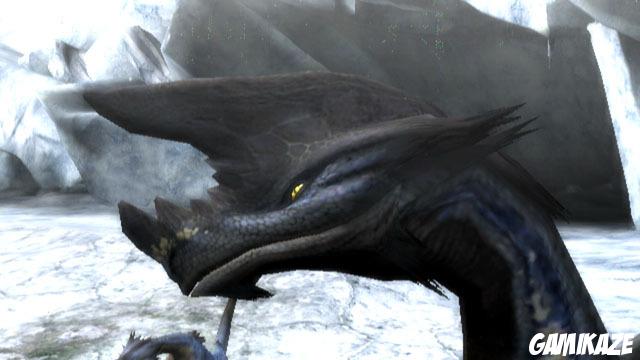 Monster Hunter 3