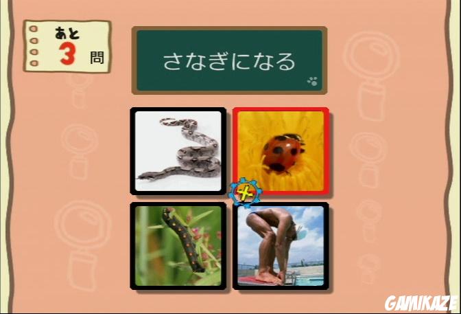 Cérébrale Academie