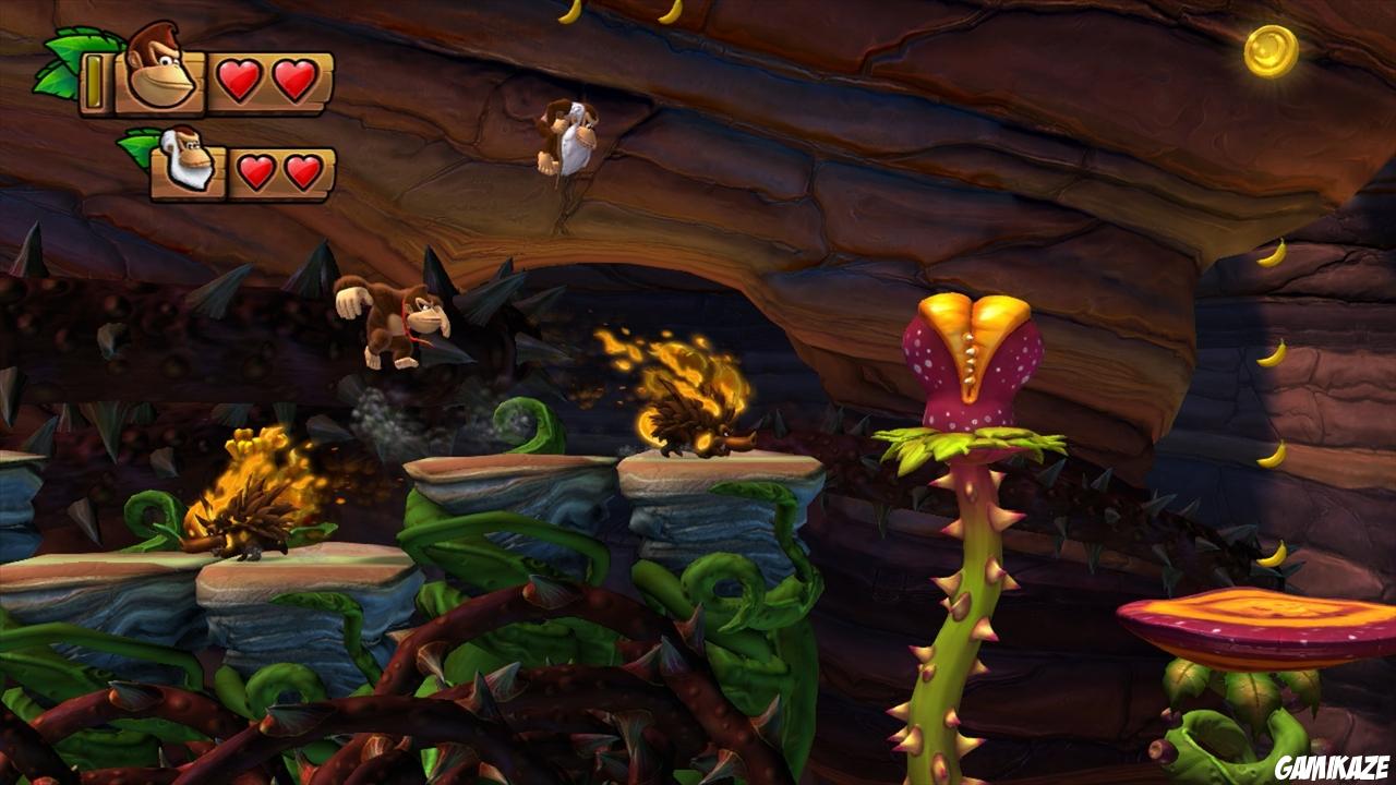 Donkey Kong Country : Tropical Freeze
