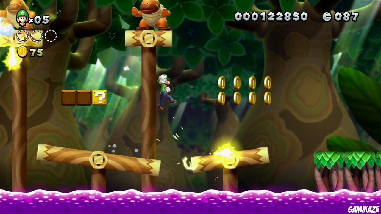 New Super Luigi U