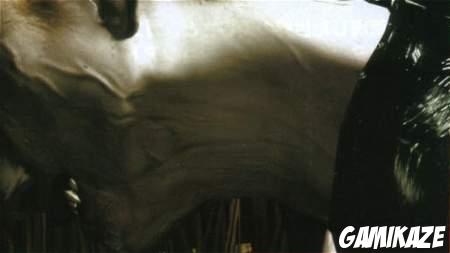 Vampire Rain