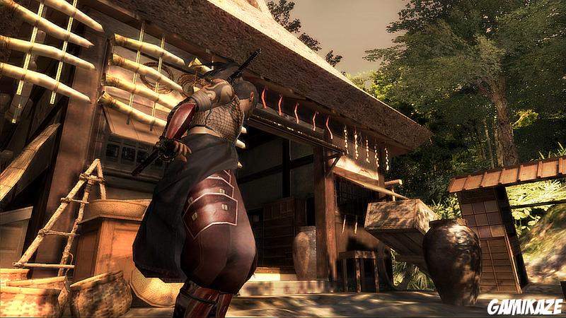 Tenchu Z