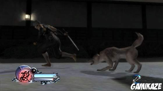Tenchu Z