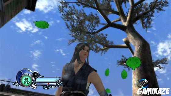 Tenchu Z