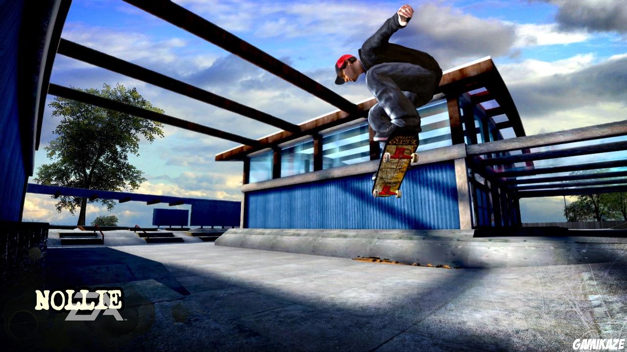 Skate