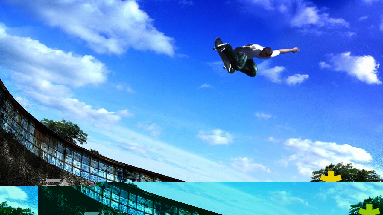 Skate