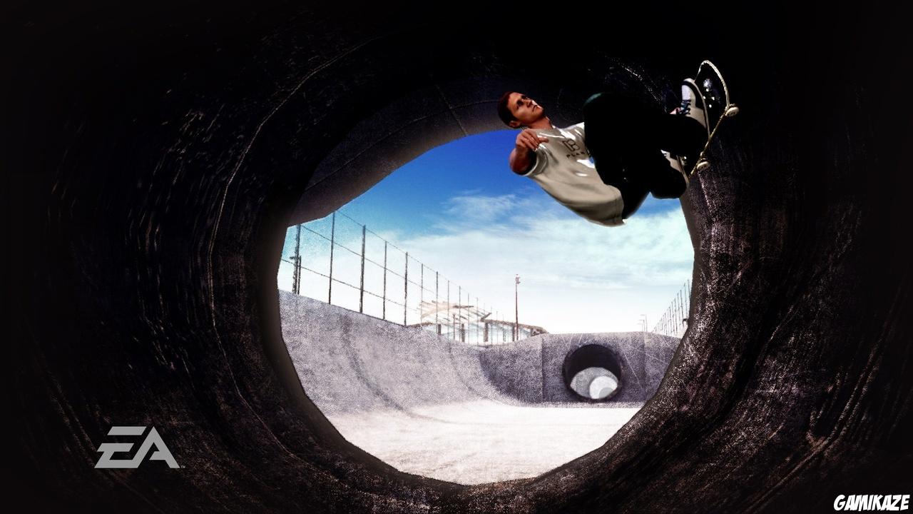 Skate