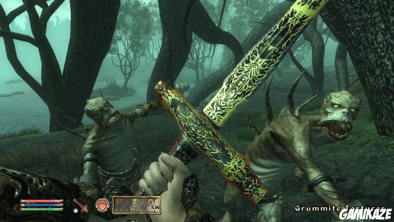 The Elder Scrolls IV : Oblivion : The Shivering Isles