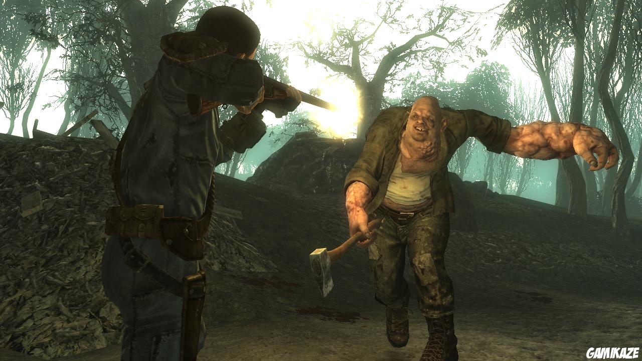 Fallout 3 : Point Lookout