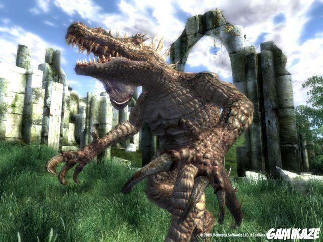 The Elder Scrolls IV : Oblivion Edition Jeu De l'Annee