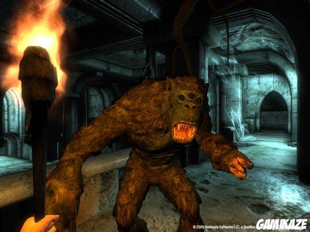 The Elder Scrolls IV : Oblivion Edition Jeu De l'Annee