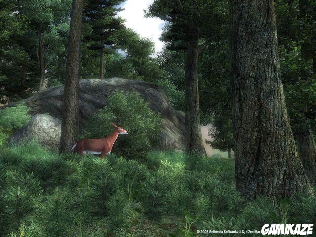 The Elder Scrolls IV : Oblivion Edition Jeu De l'Annee