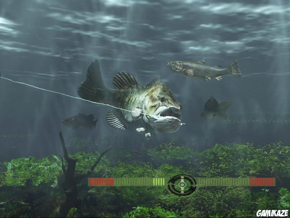 Rapala Fishing Frenzy