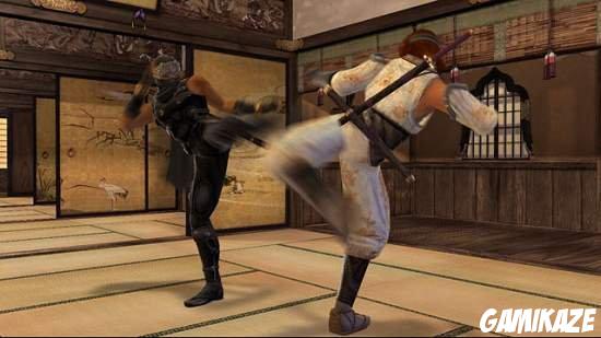 Dead or Alive 4