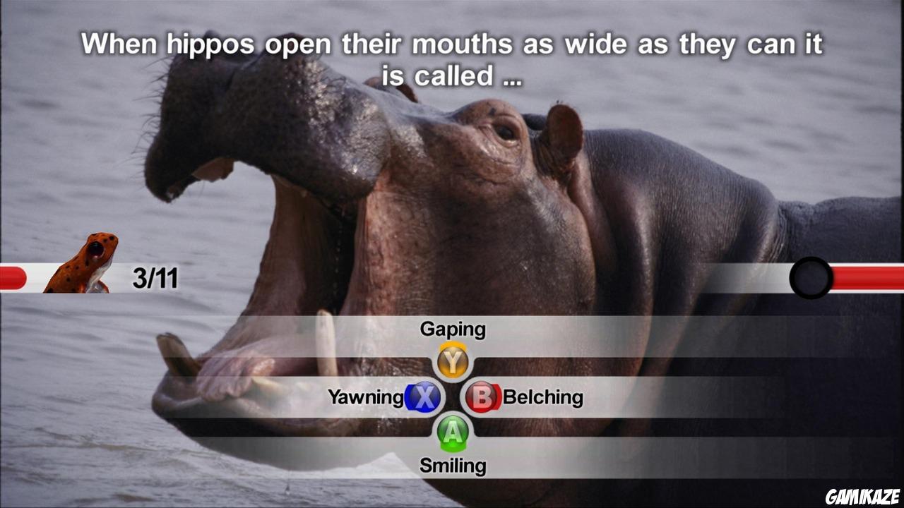 NatGeo Quiz! Wild Life