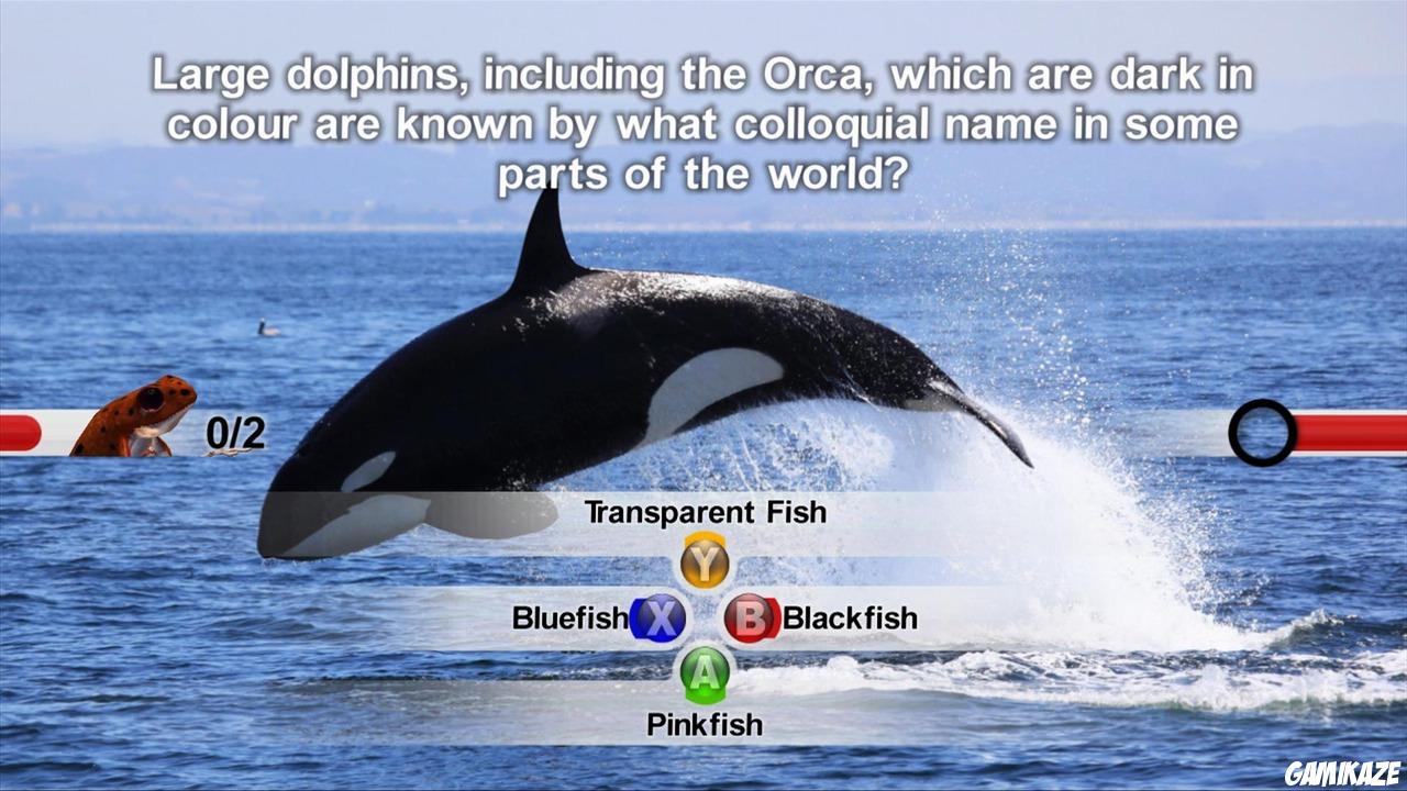 NatGeo Quiz! Wild Life