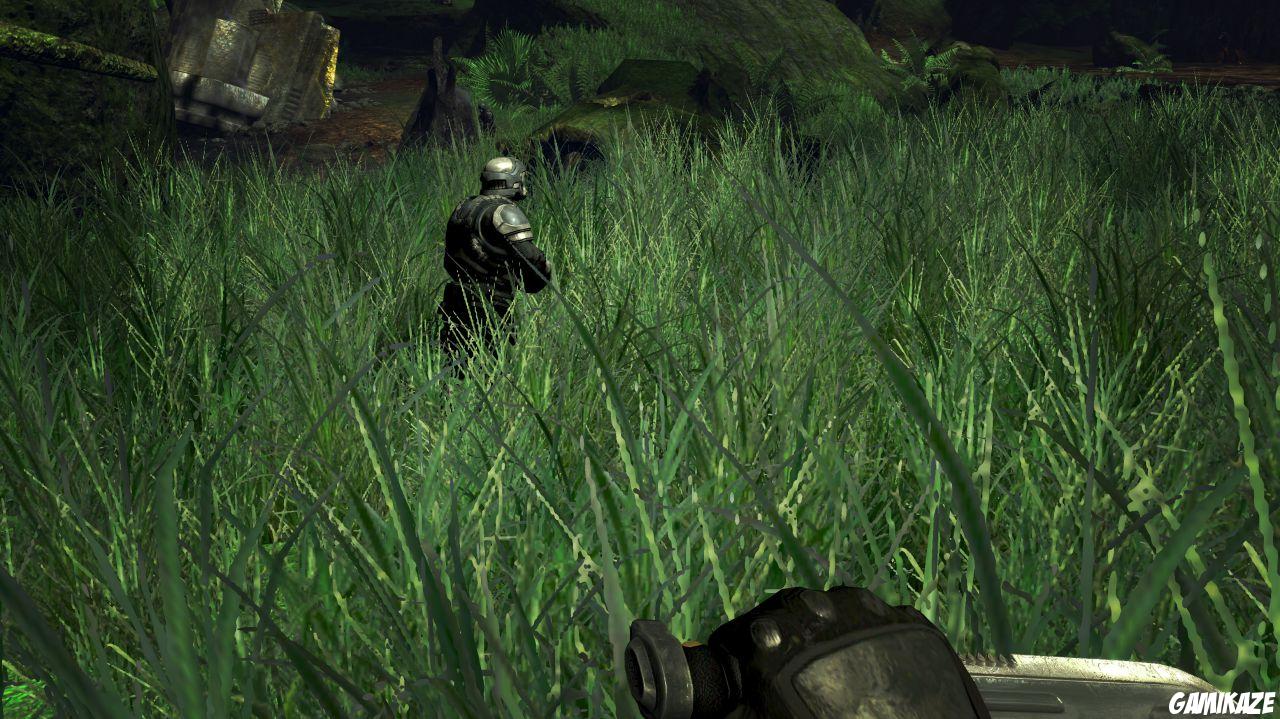 Turok