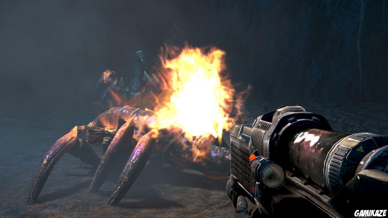Turok
