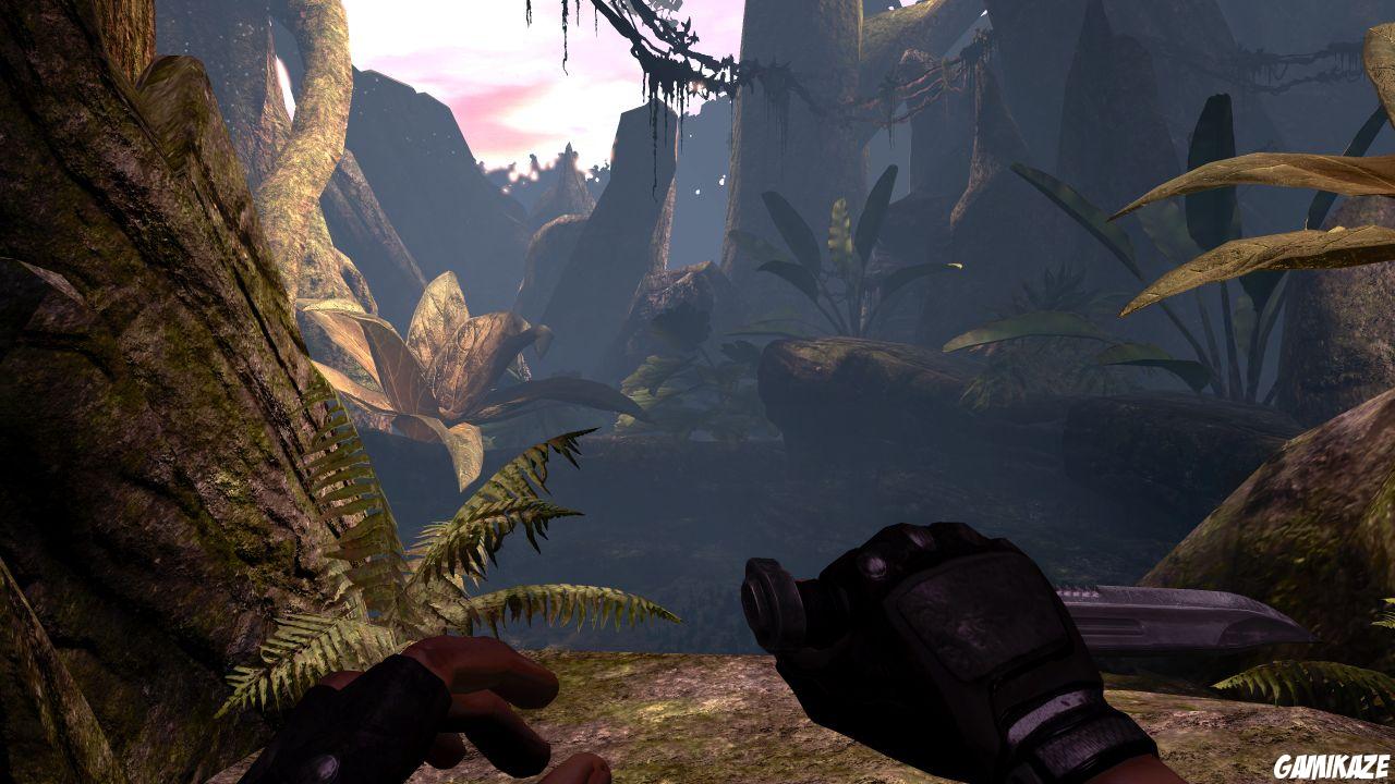 Turok