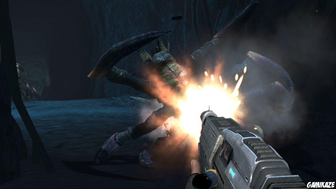 Turok