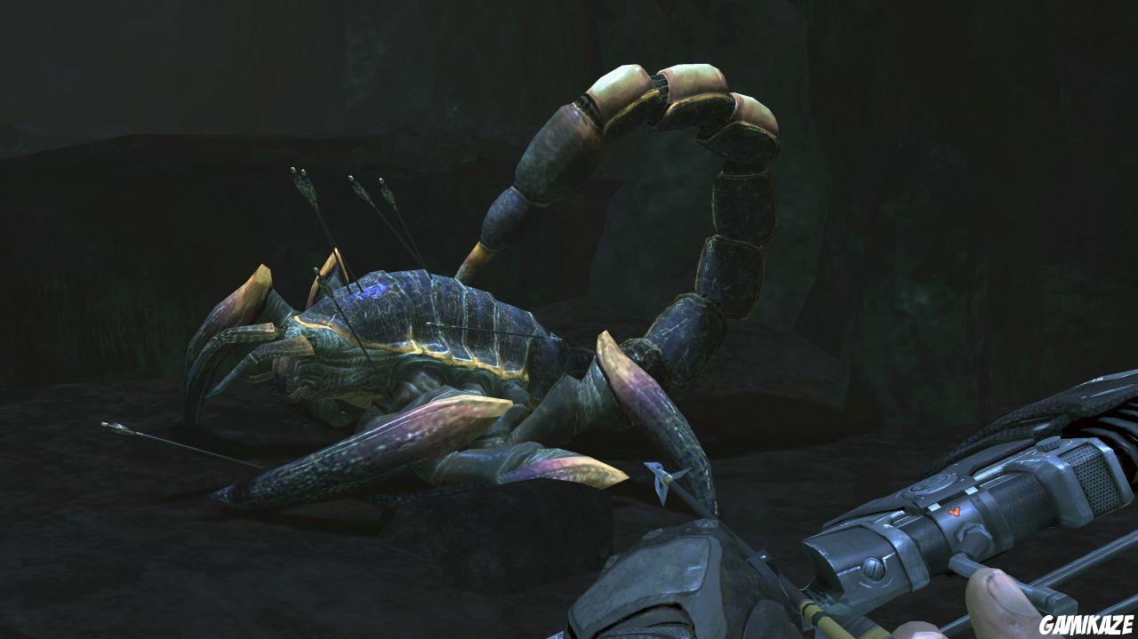 Turok