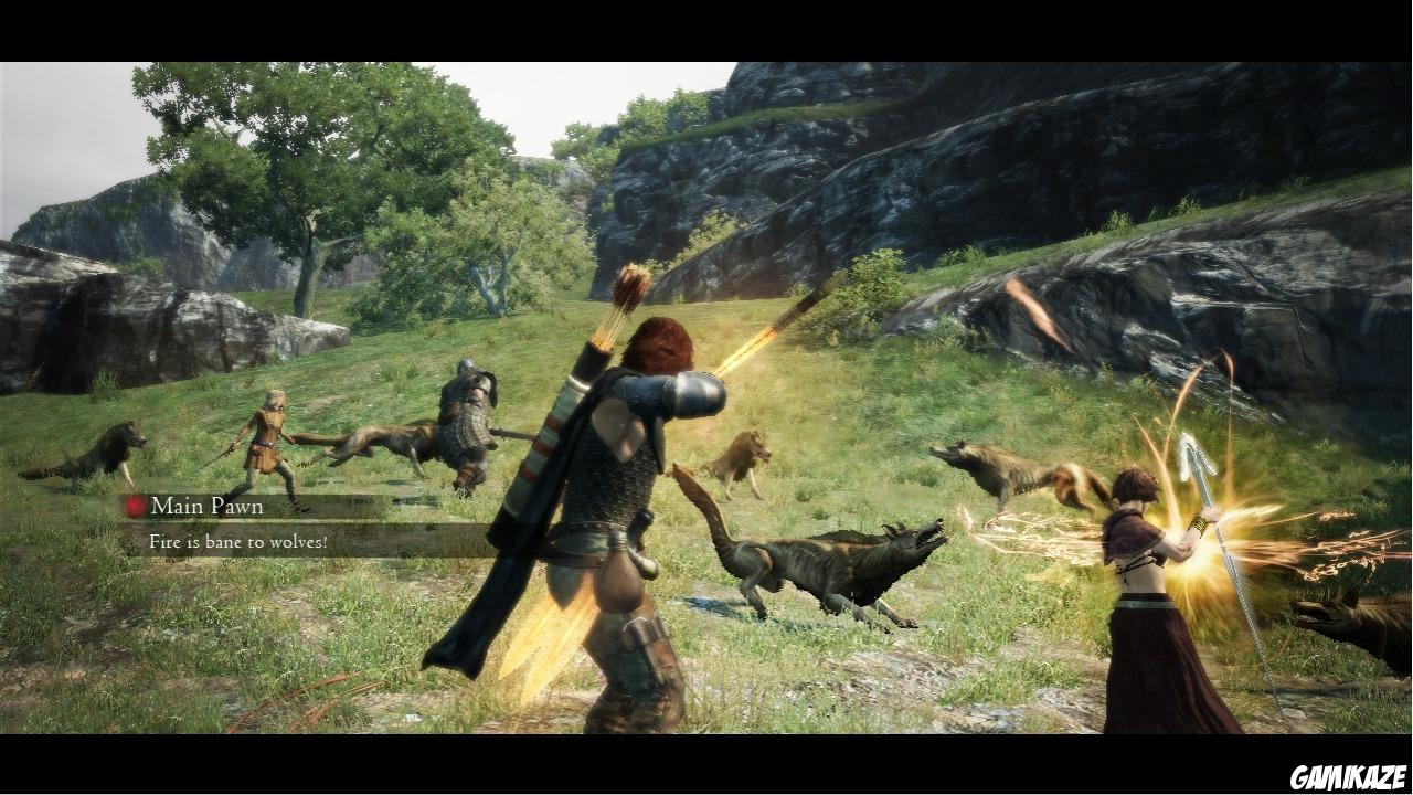 Dragon's Dogma