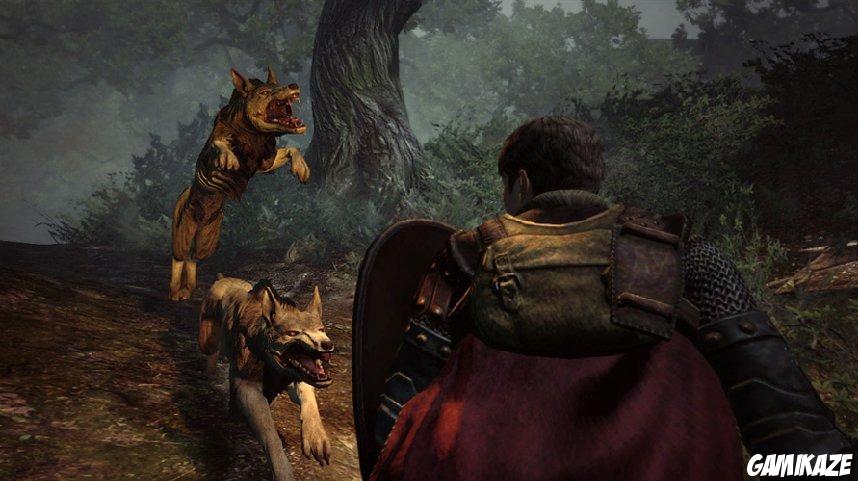 Dragon's Dogma