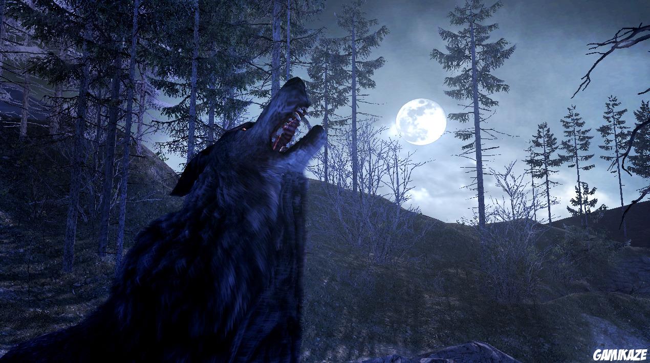 Cabela's Dangerous Hunts 2011