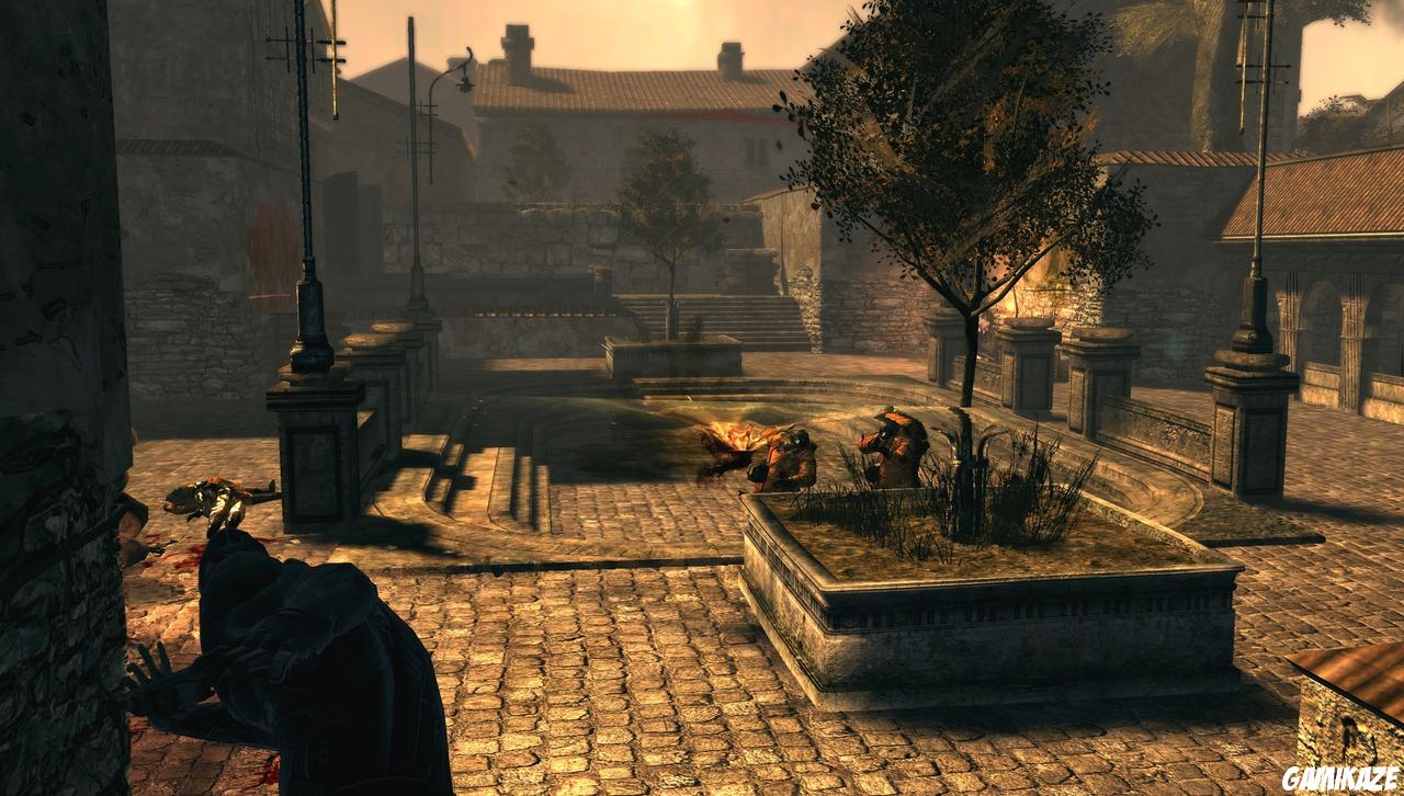 Dark Sector