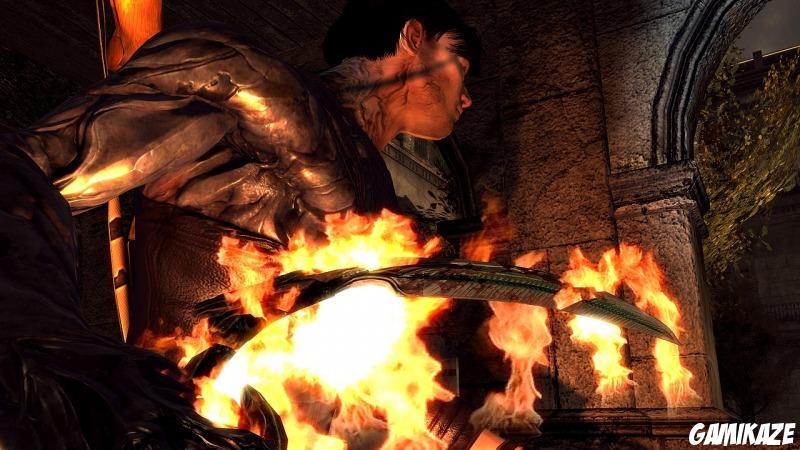 Dark Sector