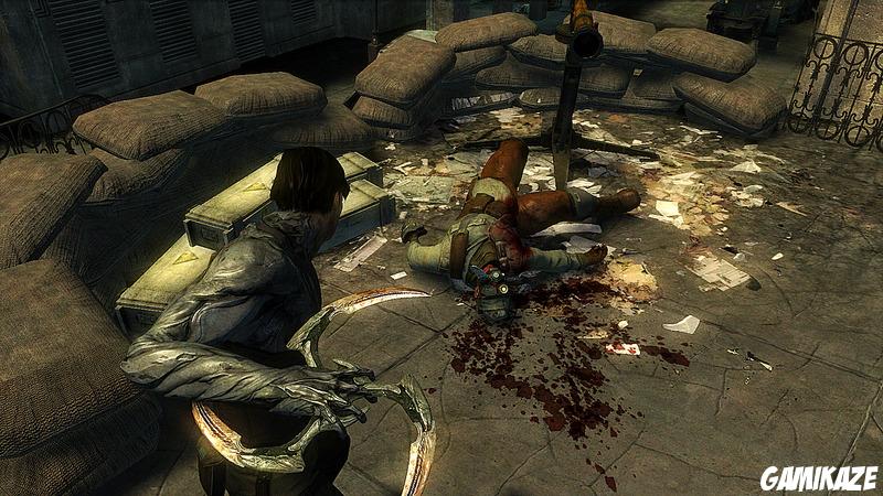 Dark Sector