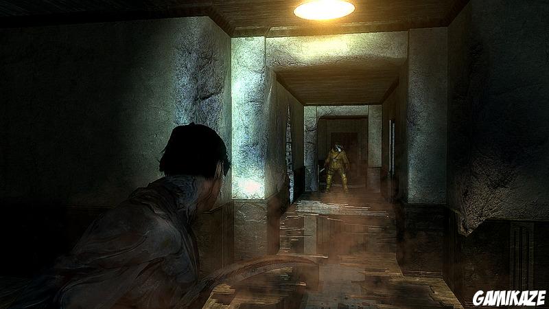 Dark Sector