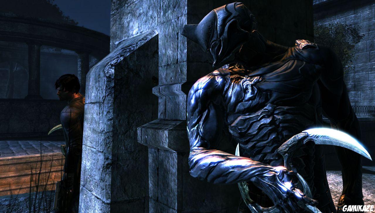 Dark Sector