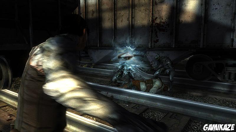 Dark Sector