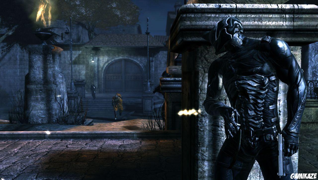 Dark Sector