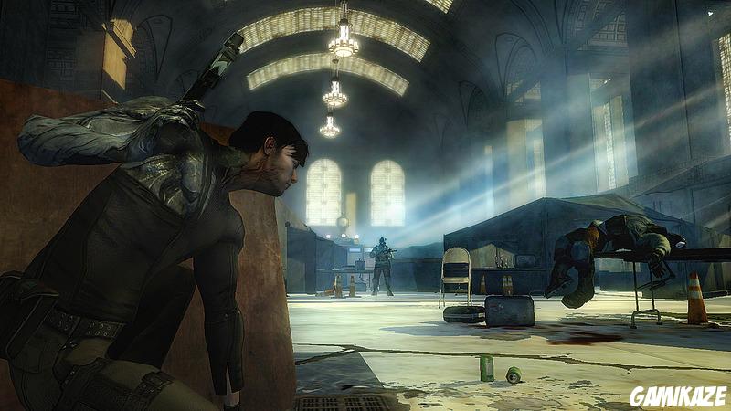 Dark Sector