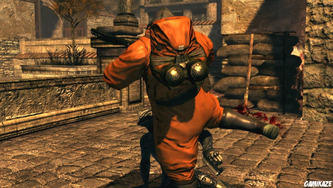 Dark Sector
