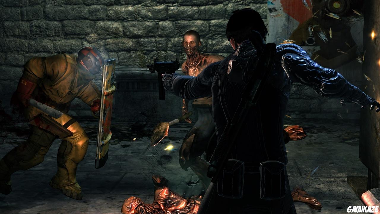 Dark Sector