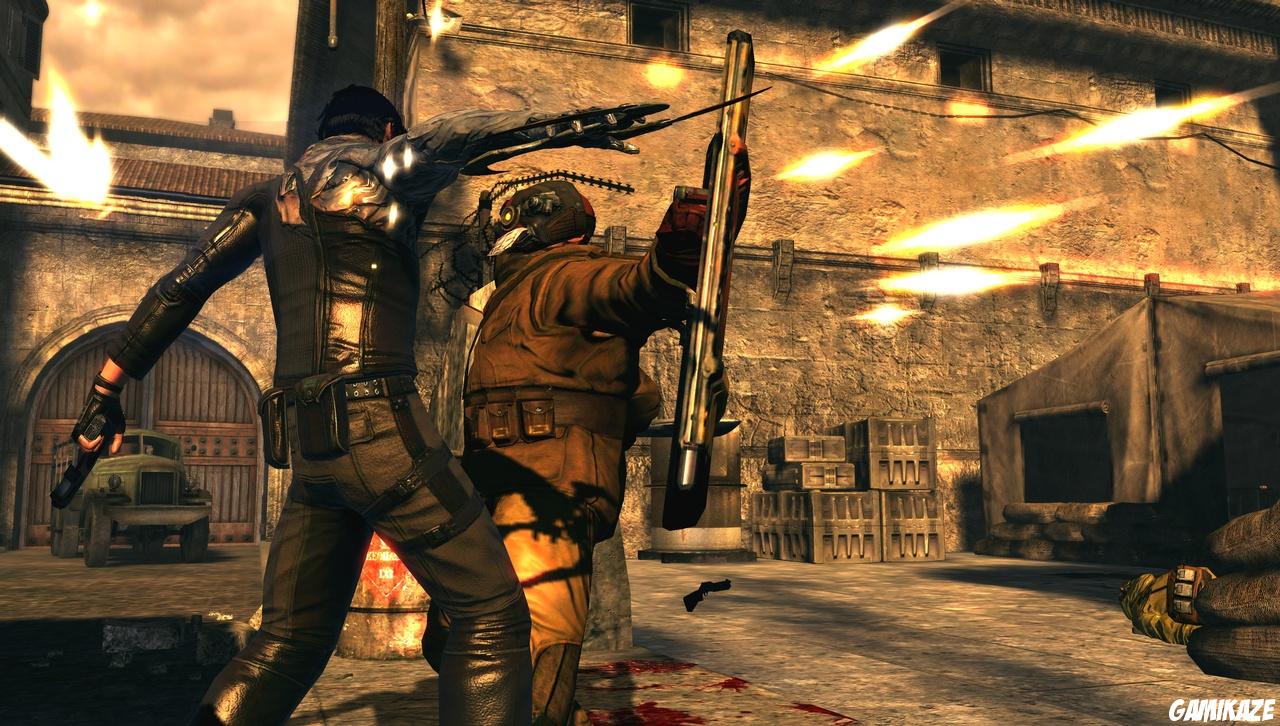Dark Sector