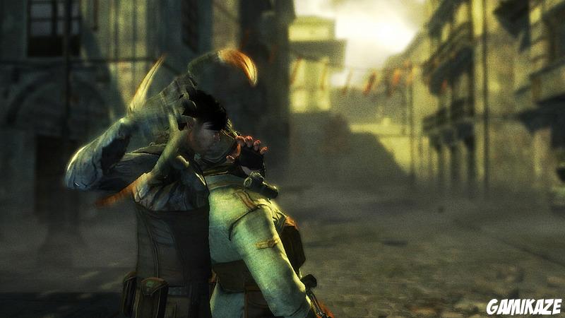 Dark Sector