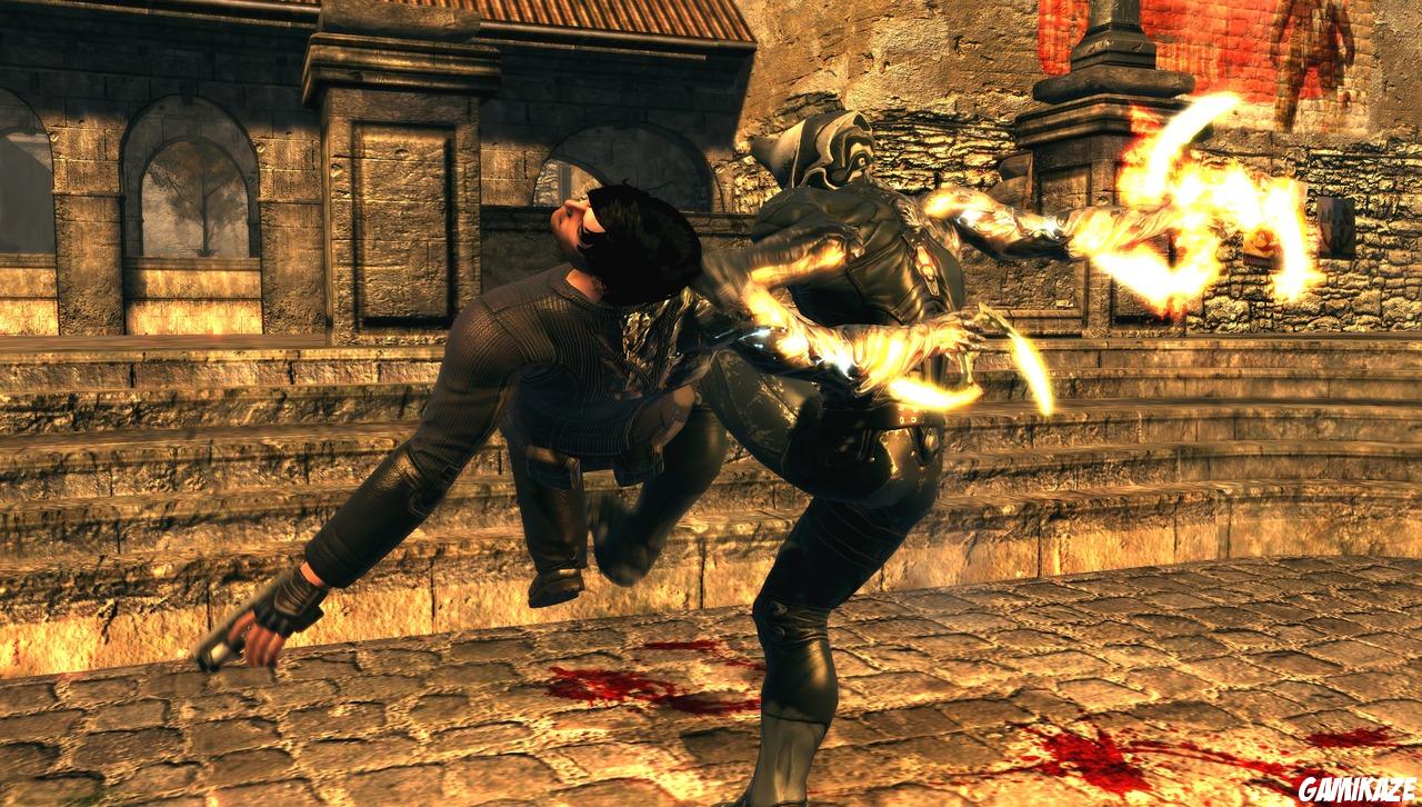 Dark Sector