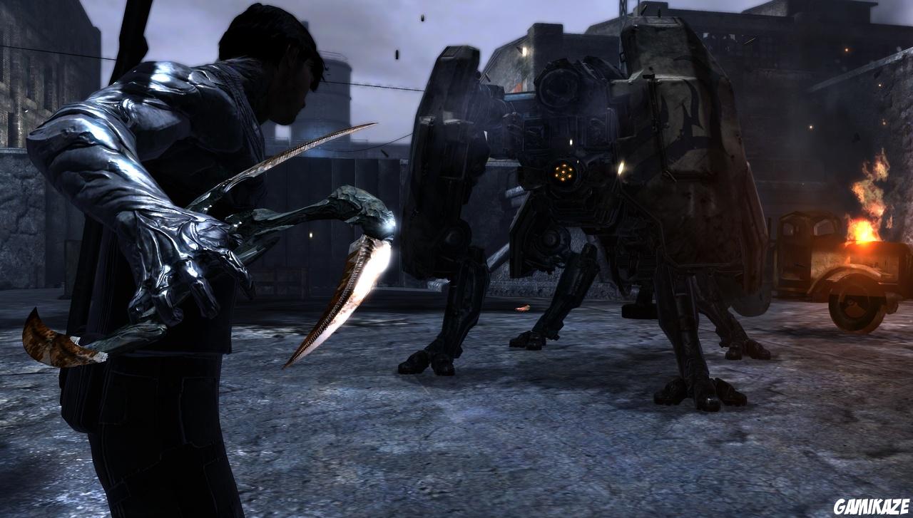 Dark Sector