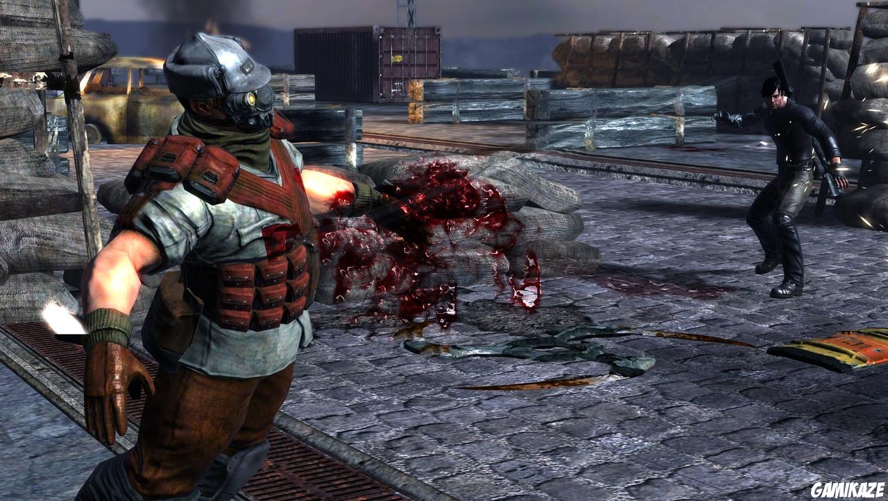 Dark Sector